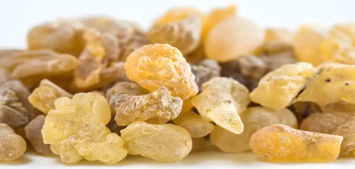 Frankincense Extract Boswellic Acid 1.jpg